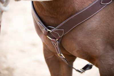 Western rintaremmi All That Oklahoma Breast Collar