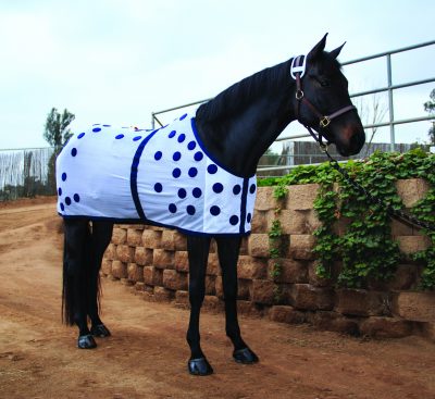 Professional's Choice Magnetic Blanket magneettiloimi
