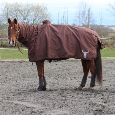 All That Protection Rug